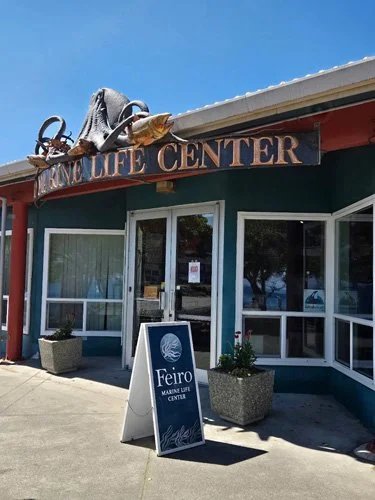 Exterior of the Feiro Marine Life Center with a signboard and potted plants outside under a clear sky.