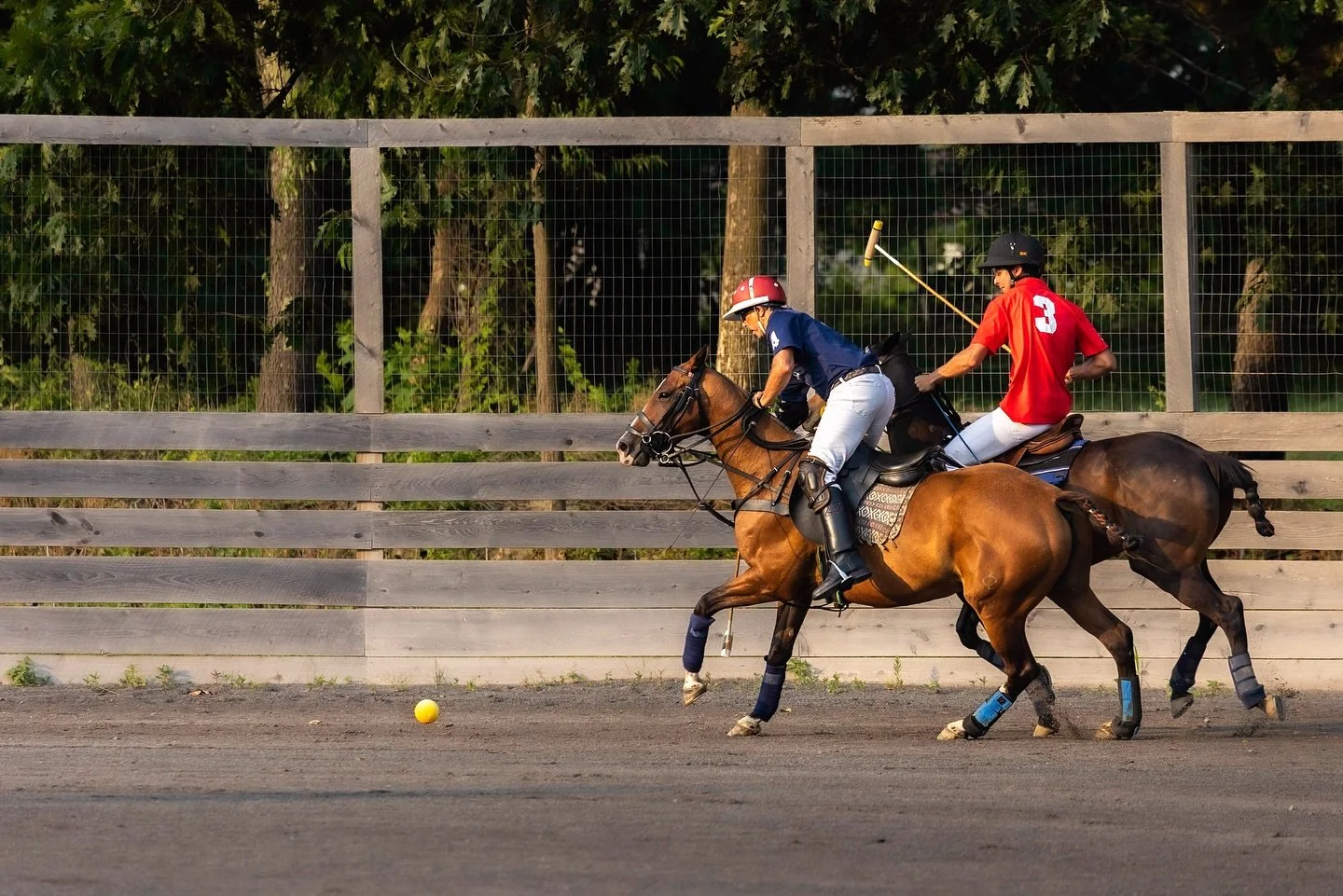 A Thursday afternoon with Polo what&rsquo;s better than that! @saratogapoloschool 

#saratogapolo #saratogaracetrack #canonphotos