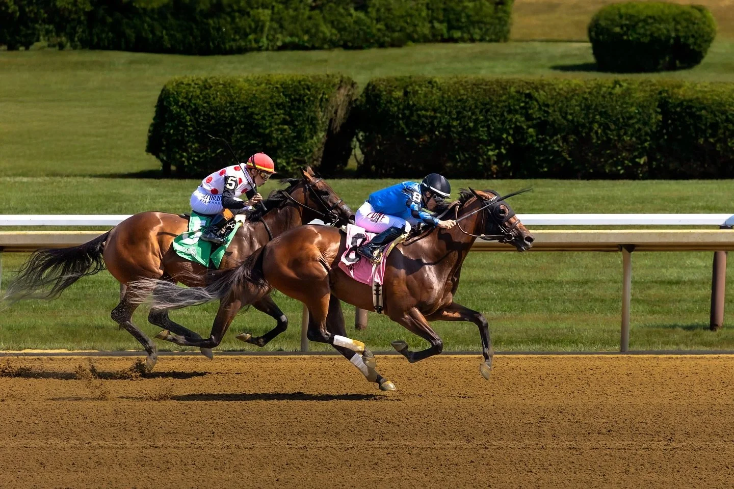 Photos from Saratoga Race Course last week! 

#horseracing #canonphotos