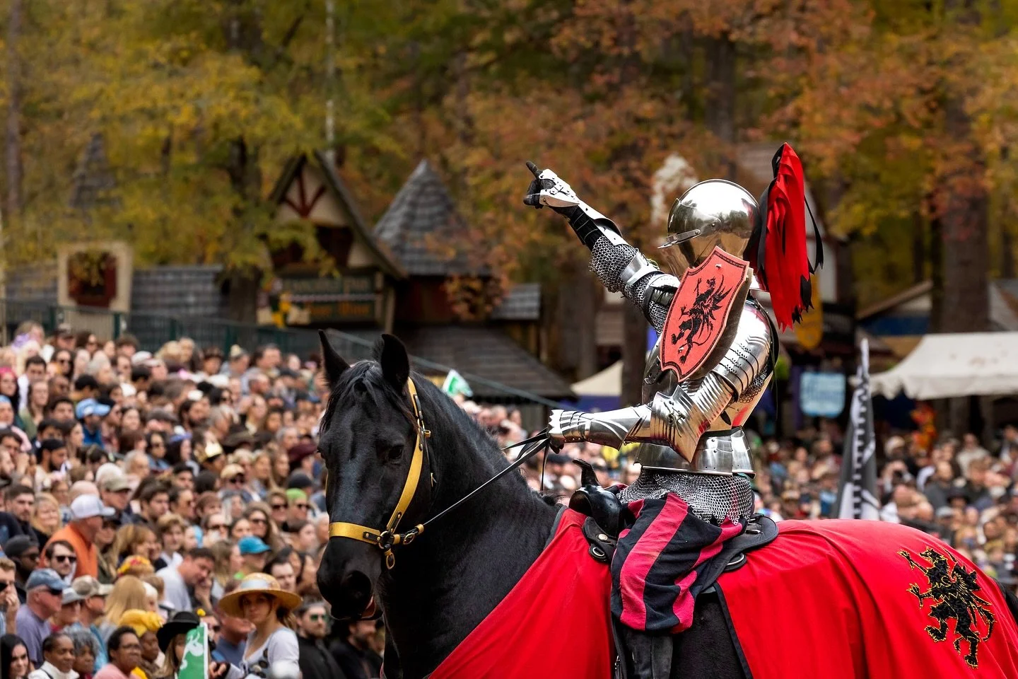 First time going to @carrenfest and it was a blast!! #jousting #renaissancefestival