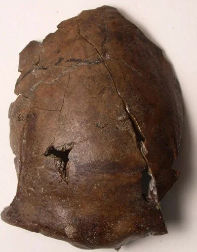 EARLY MAN - ARCHAEOLOGY Fall 2017