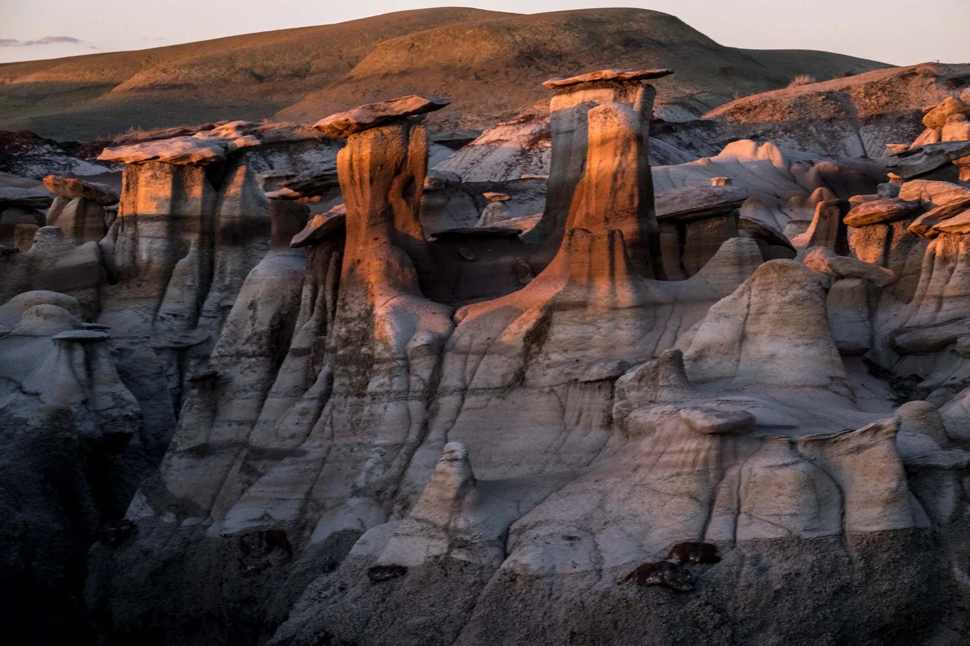 Photography of Neill Whitlock