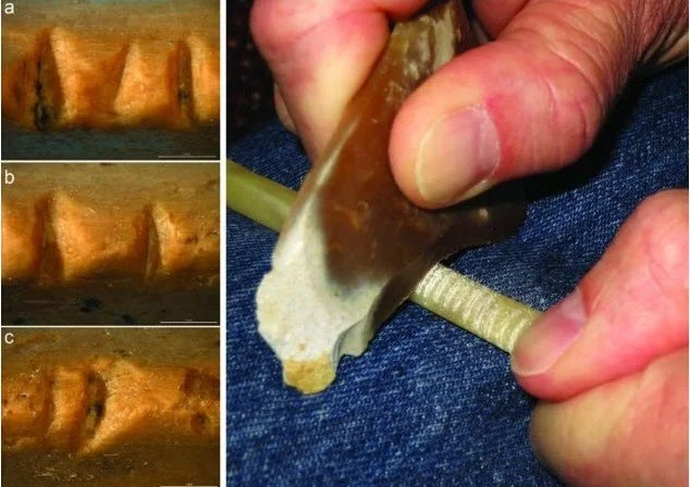 Top 10 Remarkable Traits Neanderthals Have In Common With Modern Humans