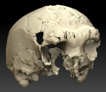 ARCHAEOLOGY AND EARLY MAN Spring/Summer 2017
