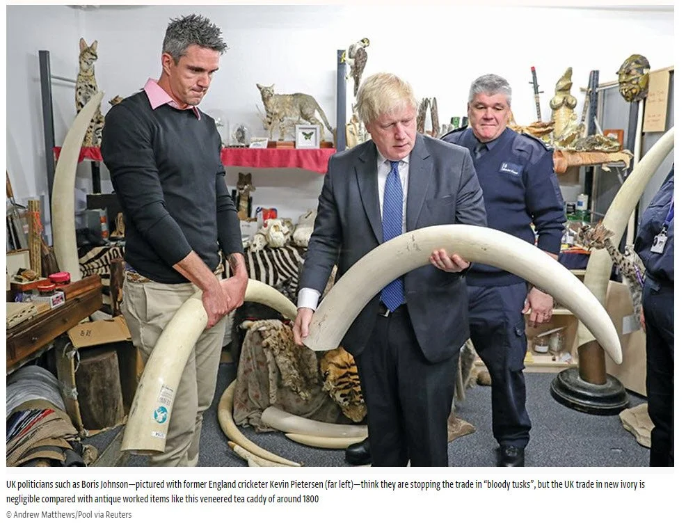 UK Ivory update. Summer 2018