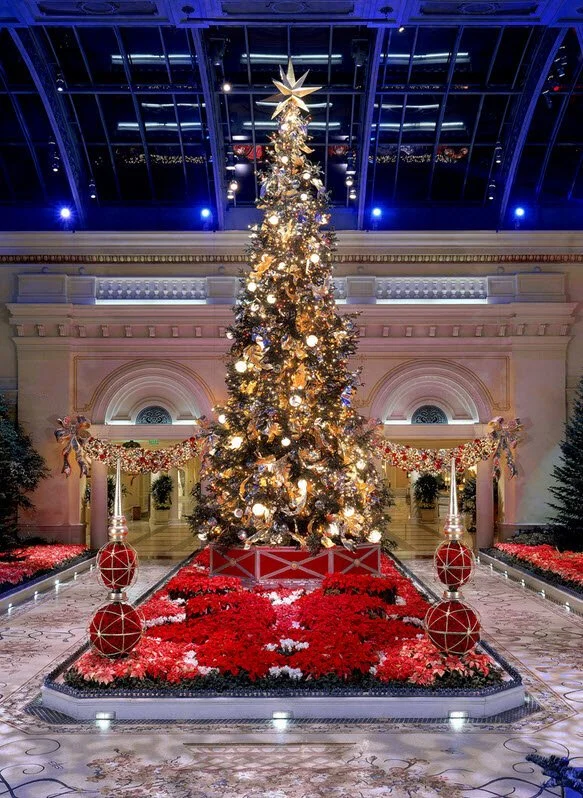 Venue Arts, Dallas, Texas, Christmas 2019