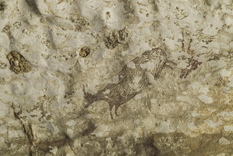 World's oldest artwork uncovered in Indonesian cave
