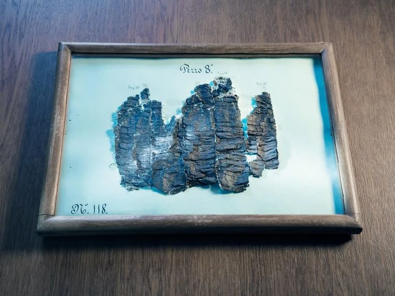  "Buried by the Ash of Vesuvius, These Scrolls Are Being Read for the First Time in Millennia