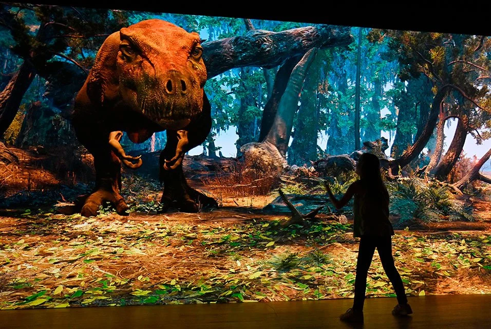 "Exhibition explores the life history, remarkable abilities, and ancient relatives of T. rex"