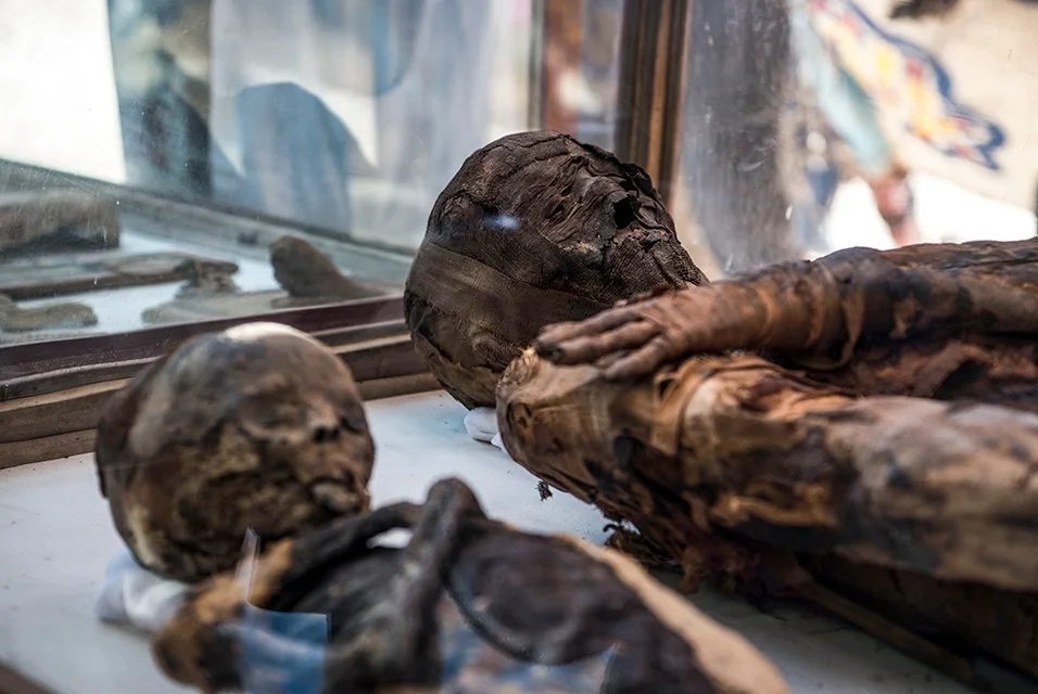 "Mummified mice and more in latest Egyptian tomb discovery"