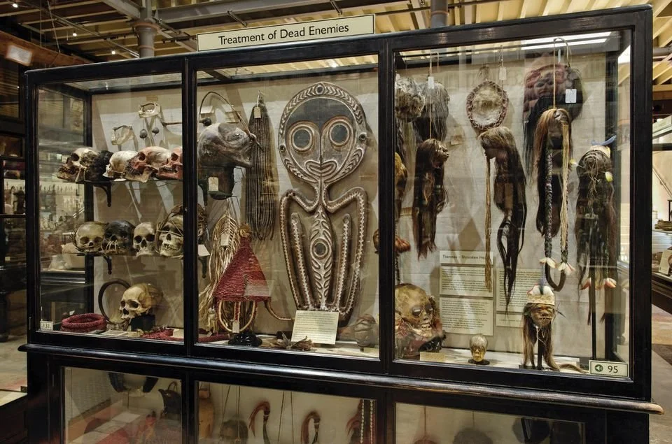  "Oxford museum rethinks famed display of shrunken heads"