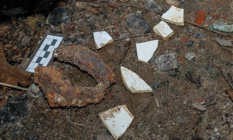 "Rio de Janeiro’s National Museum to receive archaeological pieces discovered beneath zoo"
