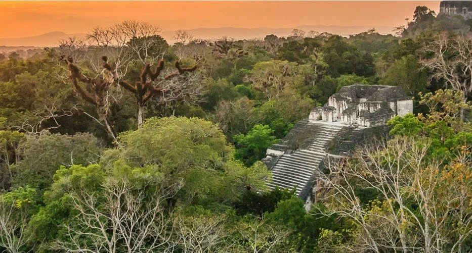 Tikal and the Maya seen through LIDAR Summer 2019