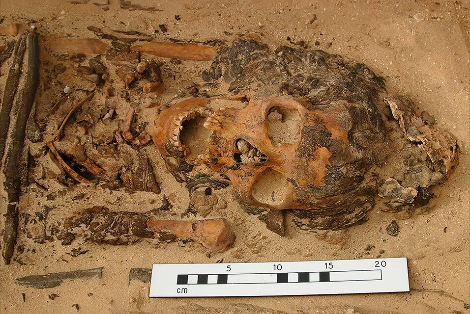 Head cones in ancient Egyptian graves cap archaeological debate