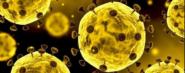 Coronavirus Winter 2020 - Some Good Advice