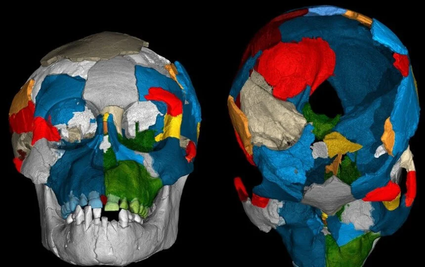 Early Man - Brain Structures  - Spring 2020