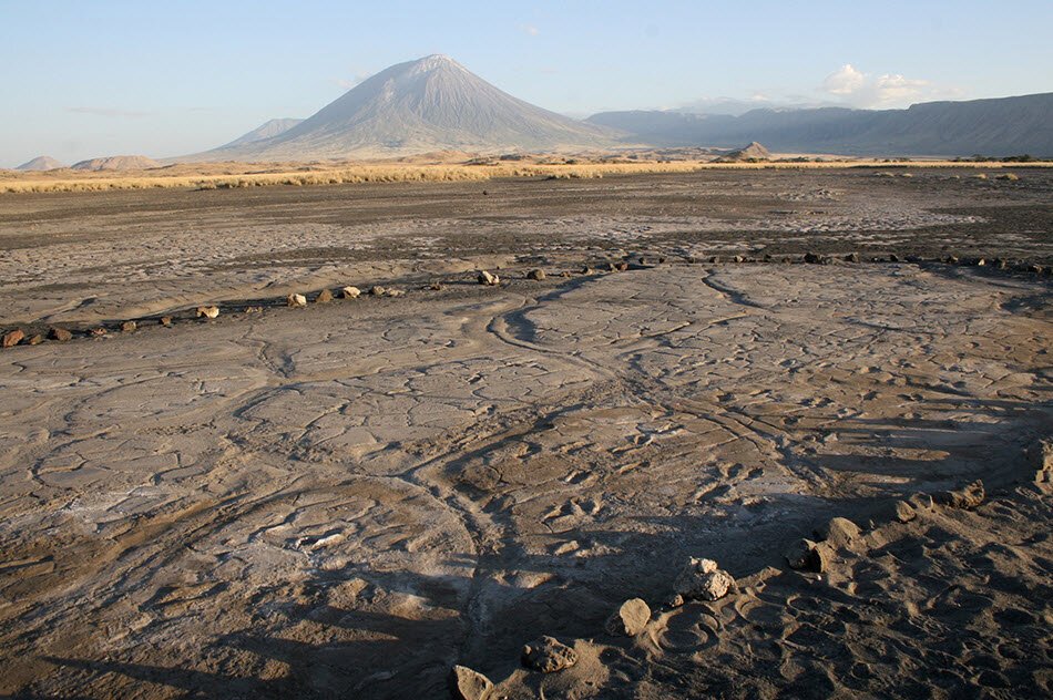 Early Man Footprints - Spring 2020