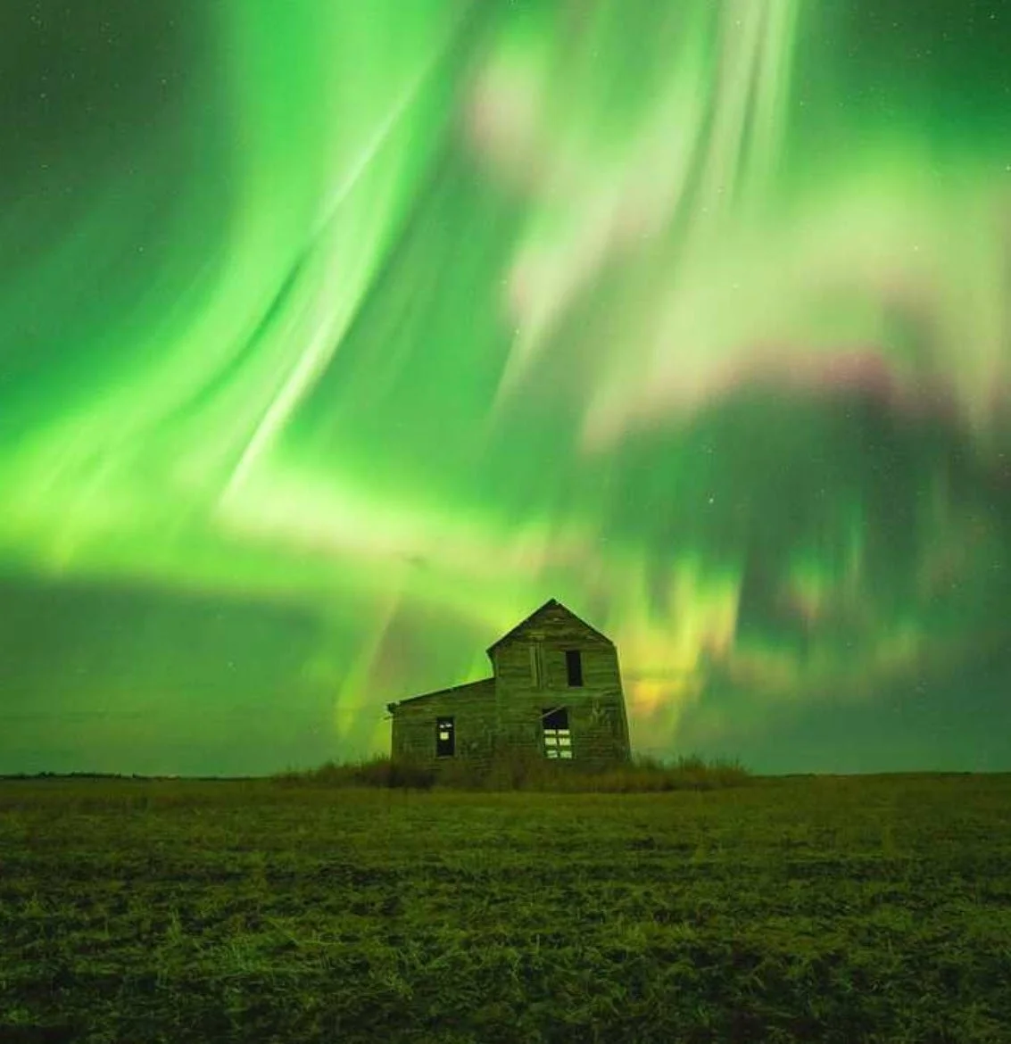 Nature's Christmas Lights