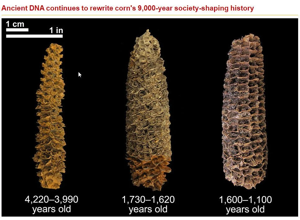 ARCHAEOLOGY Winter 2021