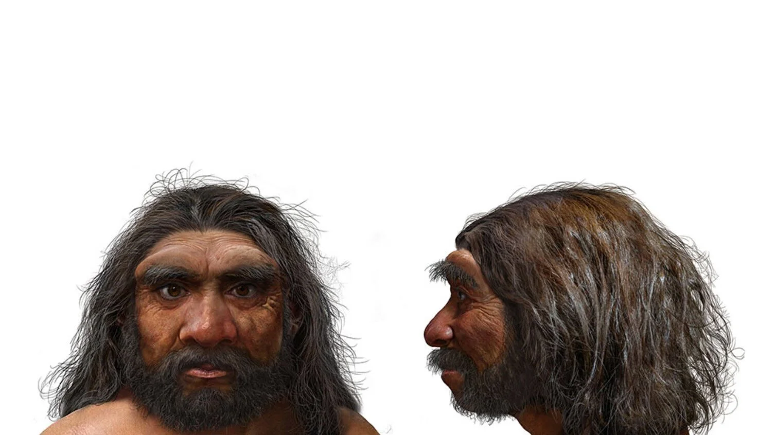 Early Man 2021