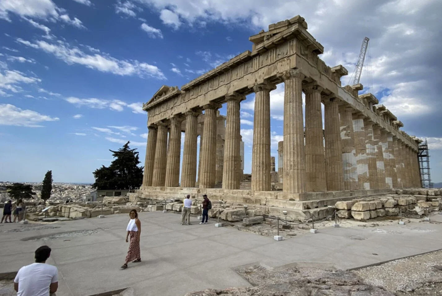 Restoration and Conservation Summer 2021