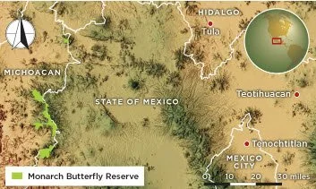 Mexico's Butterfly Warriors - Fall 2022