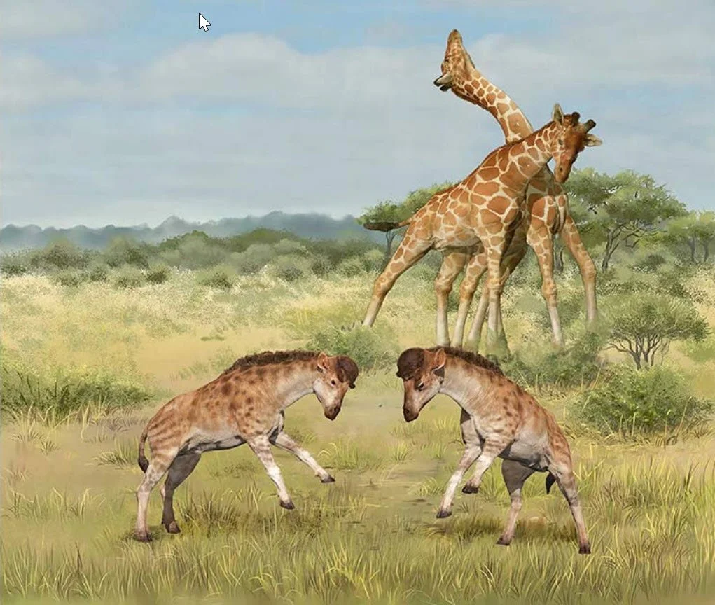 Neck Warfare - Giraffe Style - Spring 2022