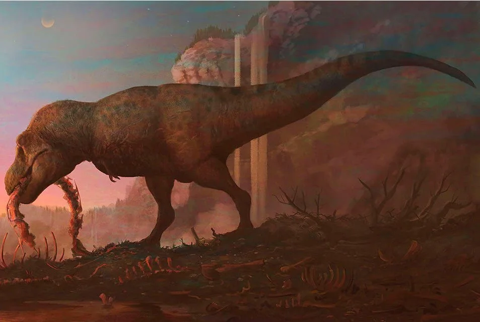 T Rex Tells Its Own Story  Despite the Experts - Summer 2022