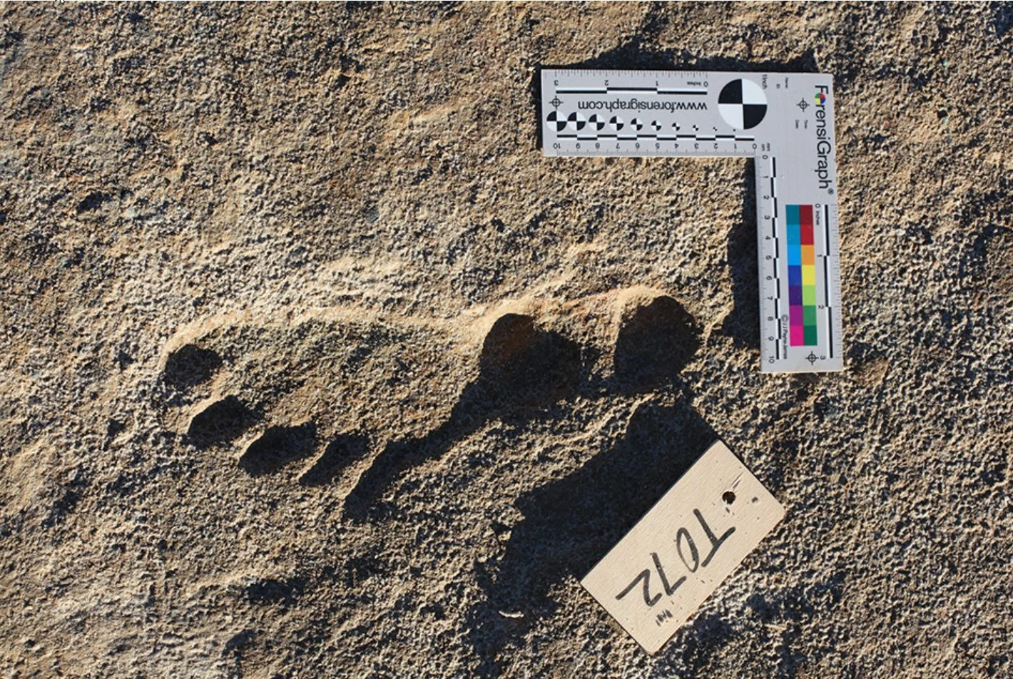Technology Pushes Back the Dates of Early Man in the Americas