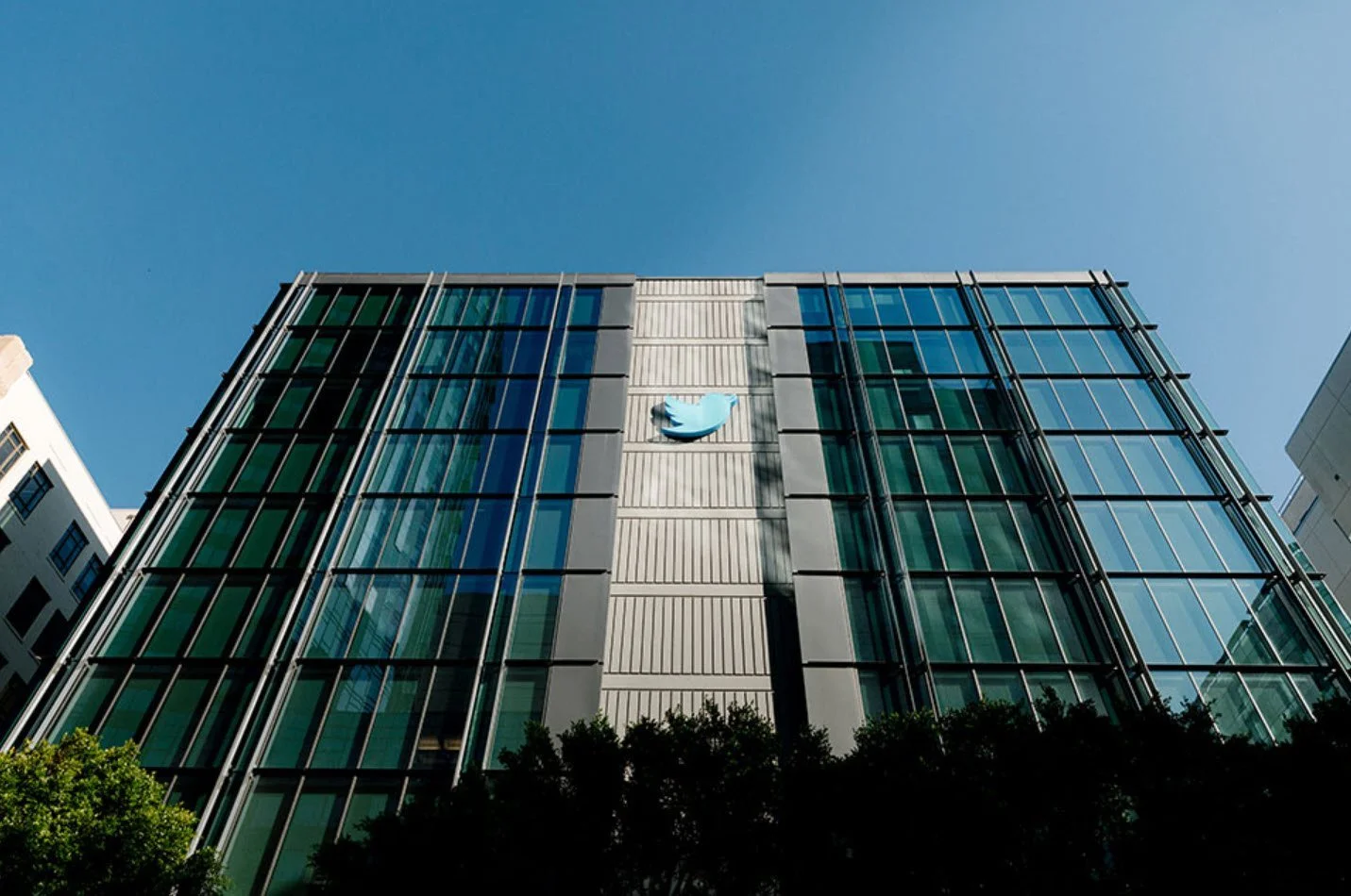 A Sign of the Times...Need a Twitter Bird? Winter 2023