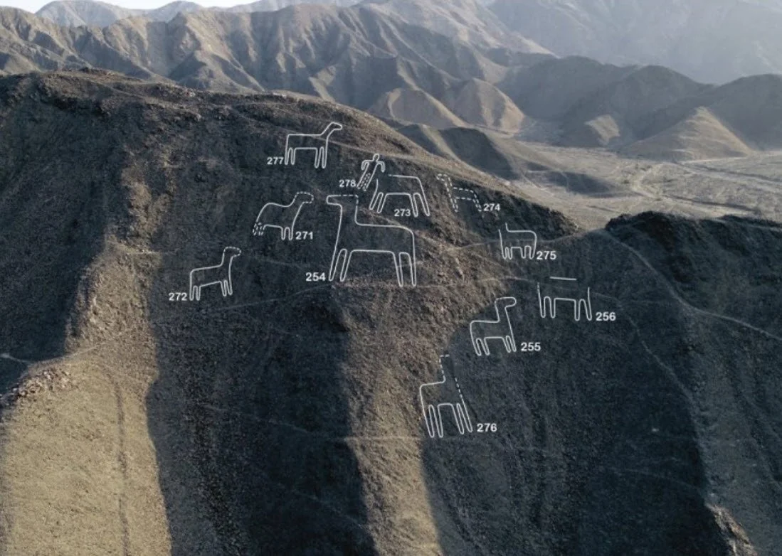 Japanese-Peruvian Team Discover 168 More Nazca Lines Winter 2023