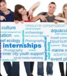 The Interns - Where Are They Now?