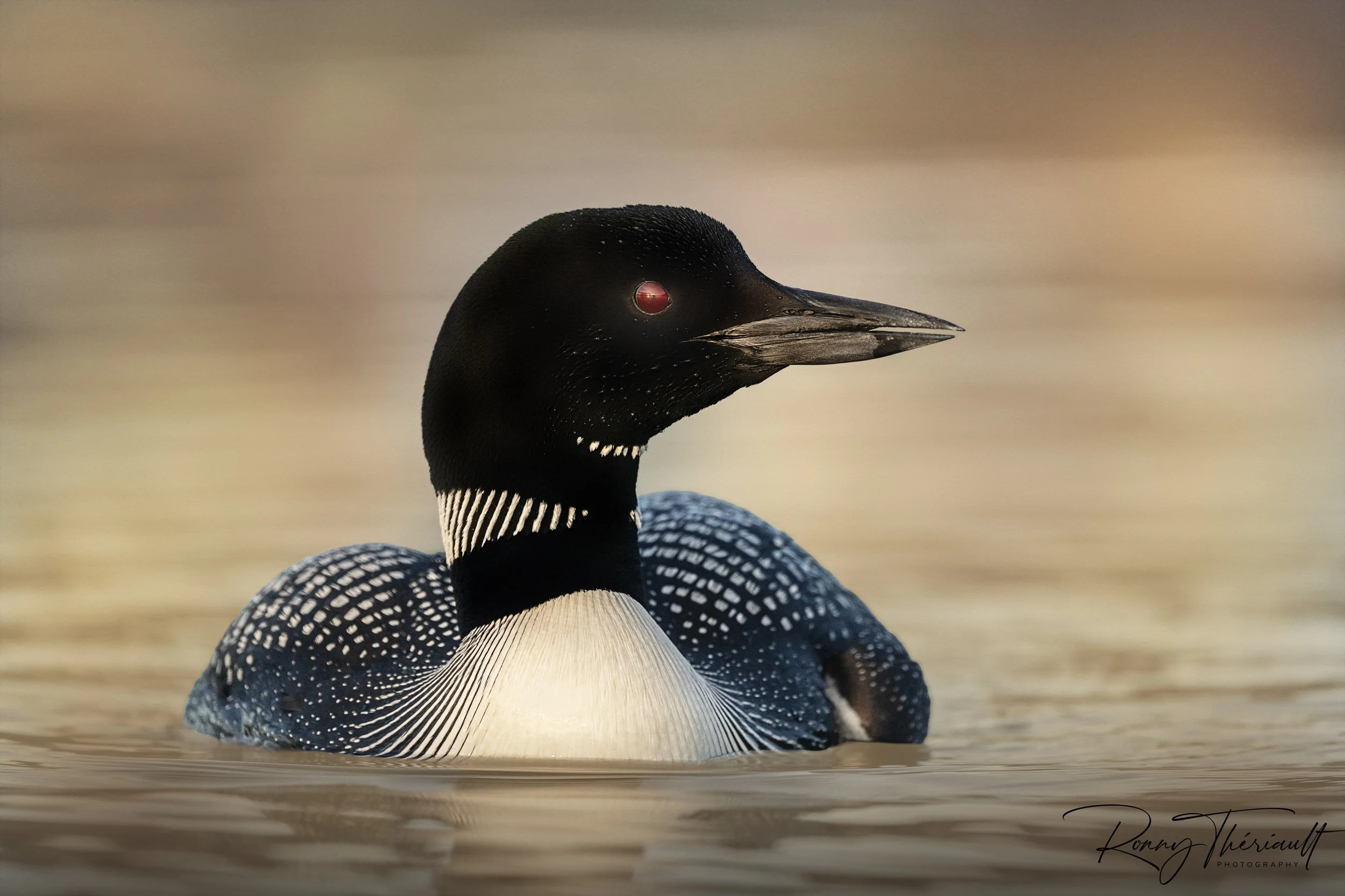 Huard lever du soleil1.jpg