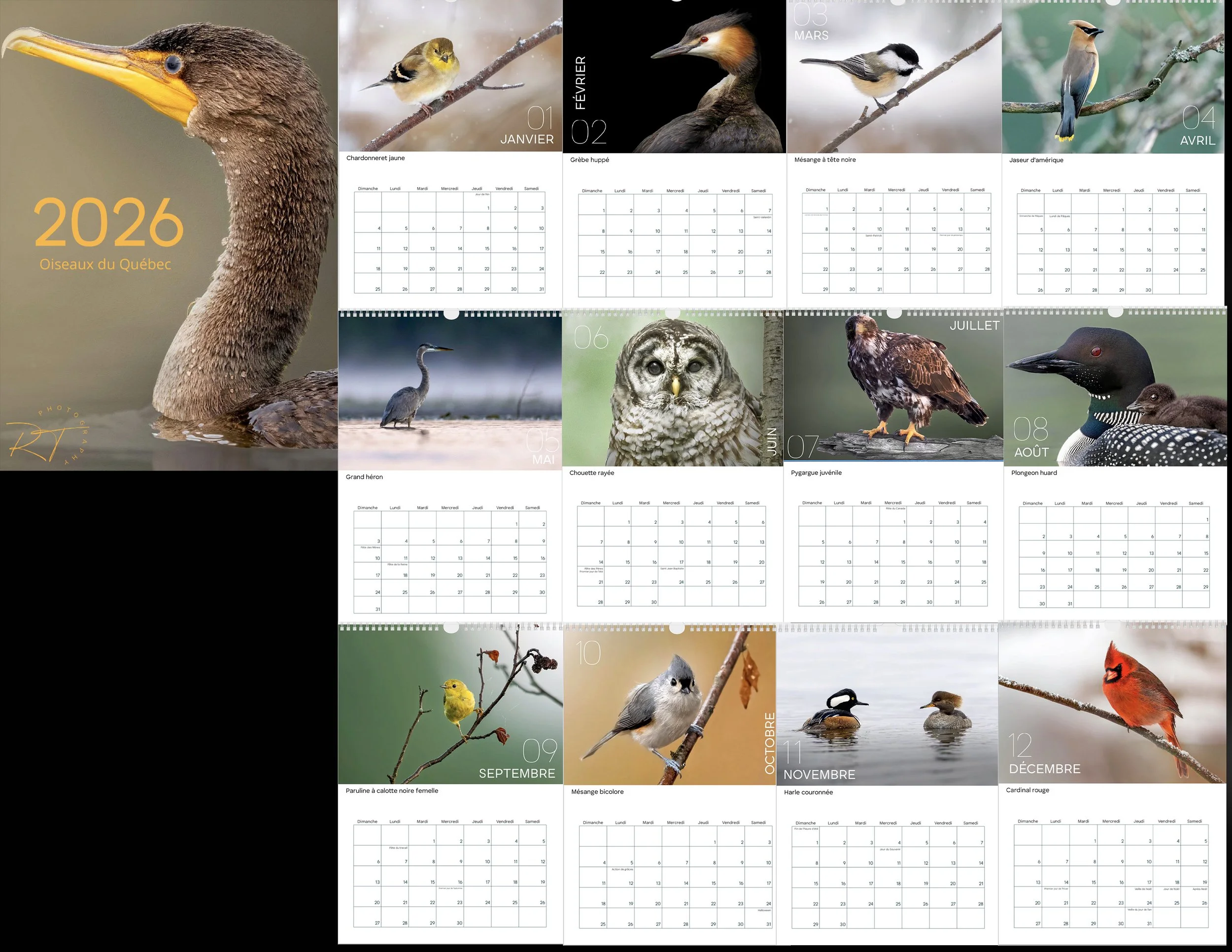 Calendrier 2026 images.jpg