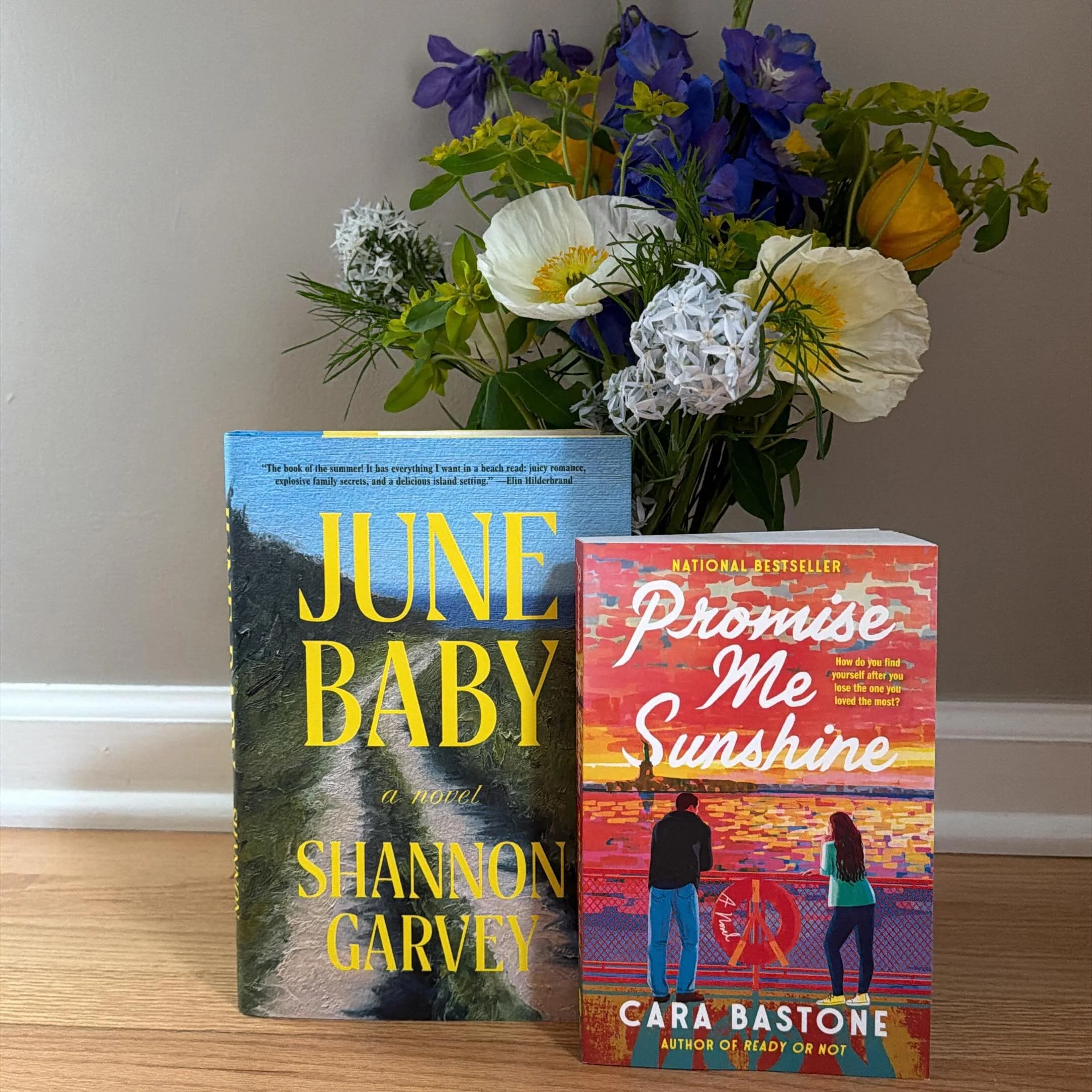 Two new summer reads have arrived! Promise Me Sunshine is a romance with themes of grief, a grumpy MMC, and new beginnings. June Baby follows a FMC who spends her summers at the seaside with themes of love, grief, and the possibilities of what life c