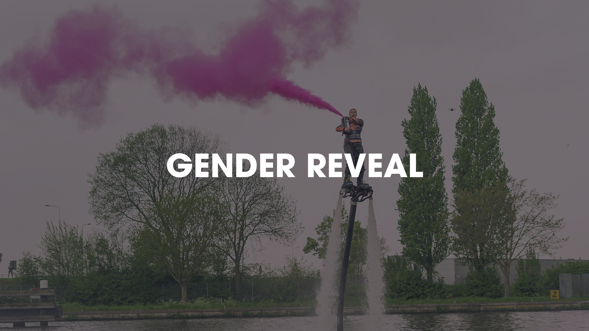 GENDER REVEAL