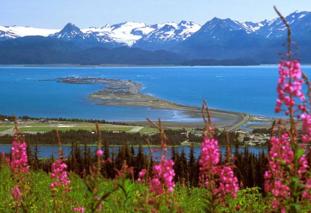 White House Inn on the Waterfront offers a scenic landscape of the Kachemak Bay from the lawn. Venture out the Homer Spit with its long, narrow peninsula extending into the water, surrounded by mountains with snow-capped peaks.