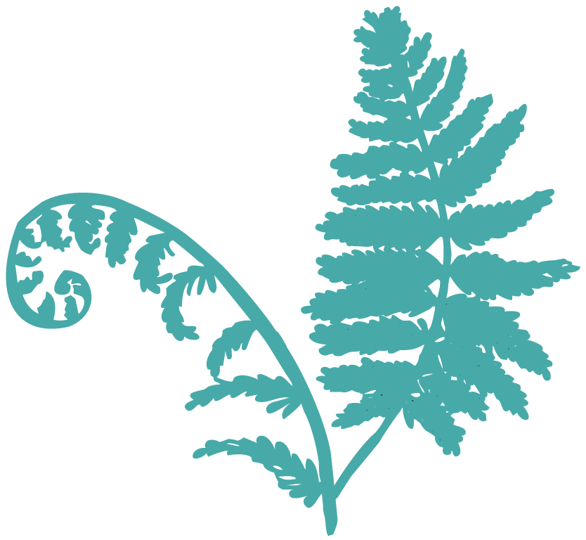 A stylized teal fern leaf with intricate detailing.