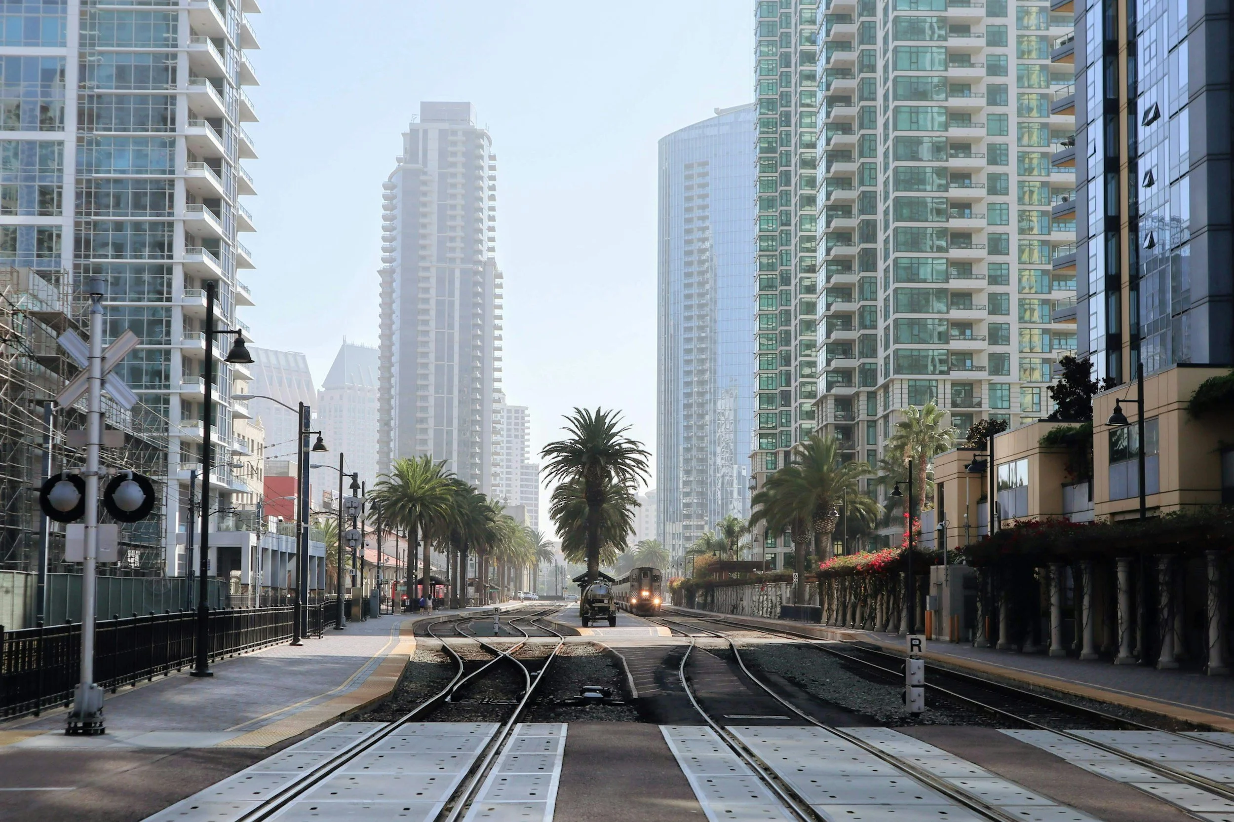 Urban scene with railway tracks, palm trees, and tall modern buildings in a city.