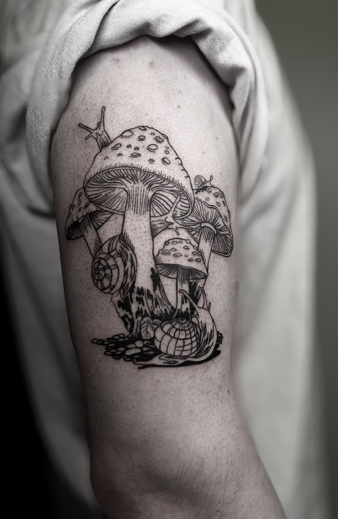 PHOTO-2025-10-01-13-23-16 6.jpg