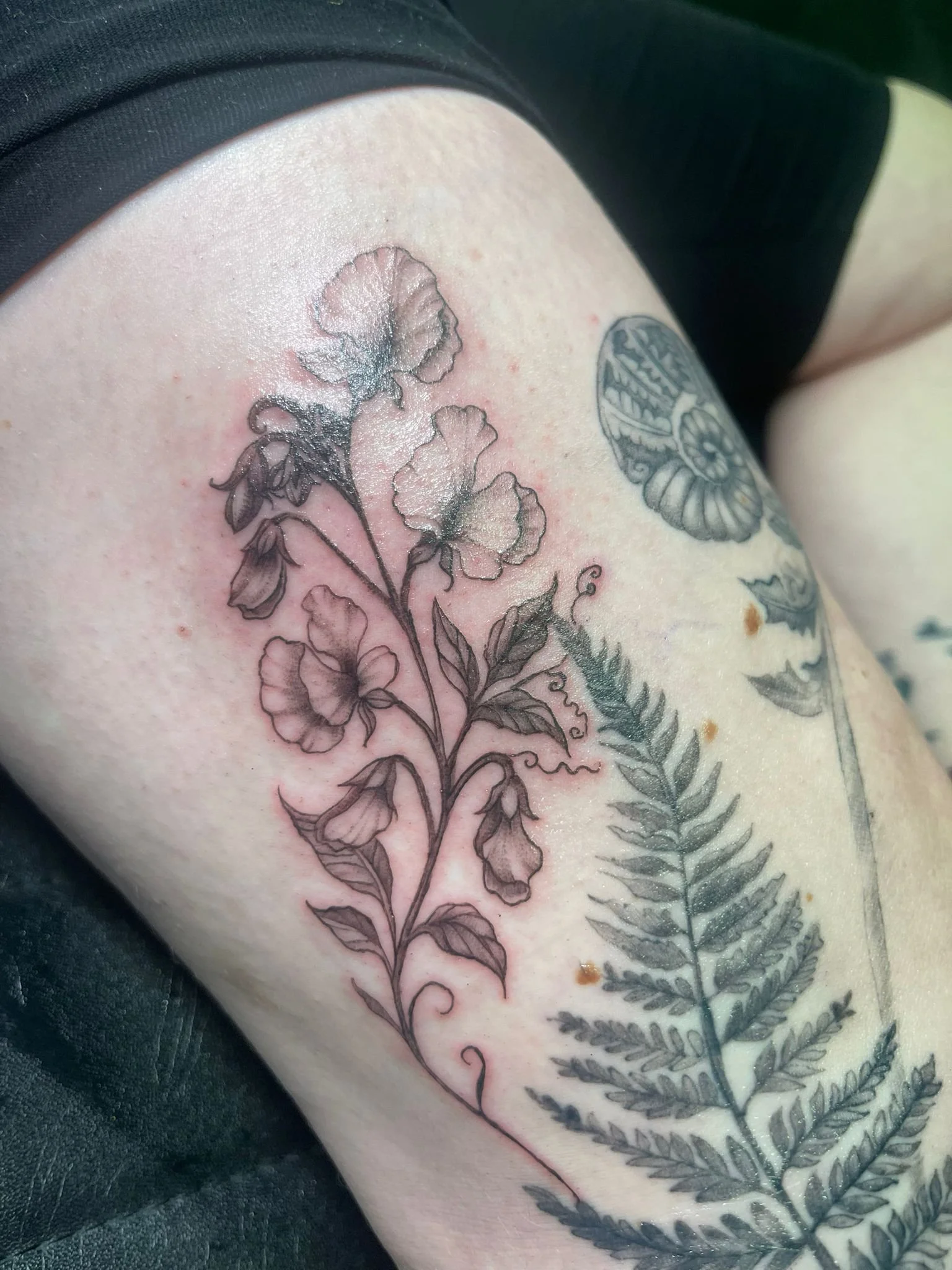 PHOTO-2025-10-01-13-23-15 3.jpg