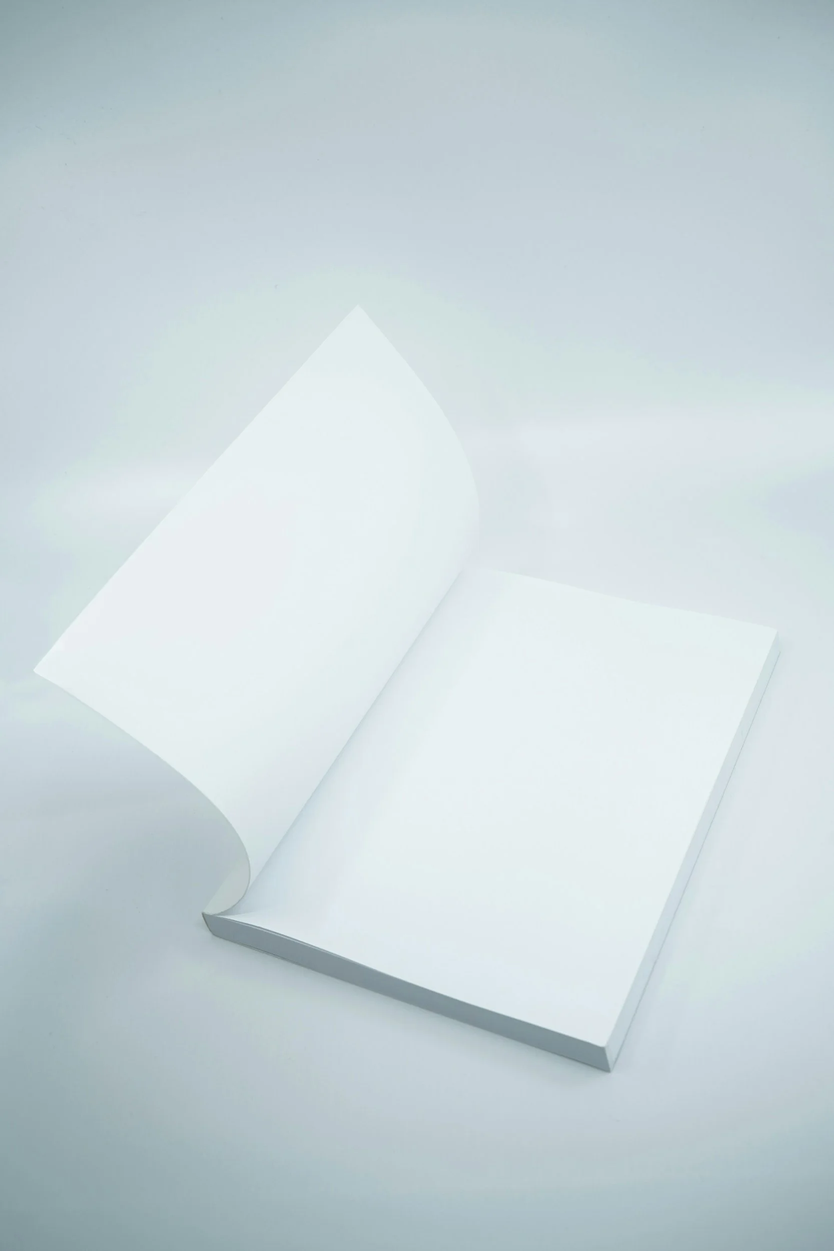 Image of a book open to a blank page.