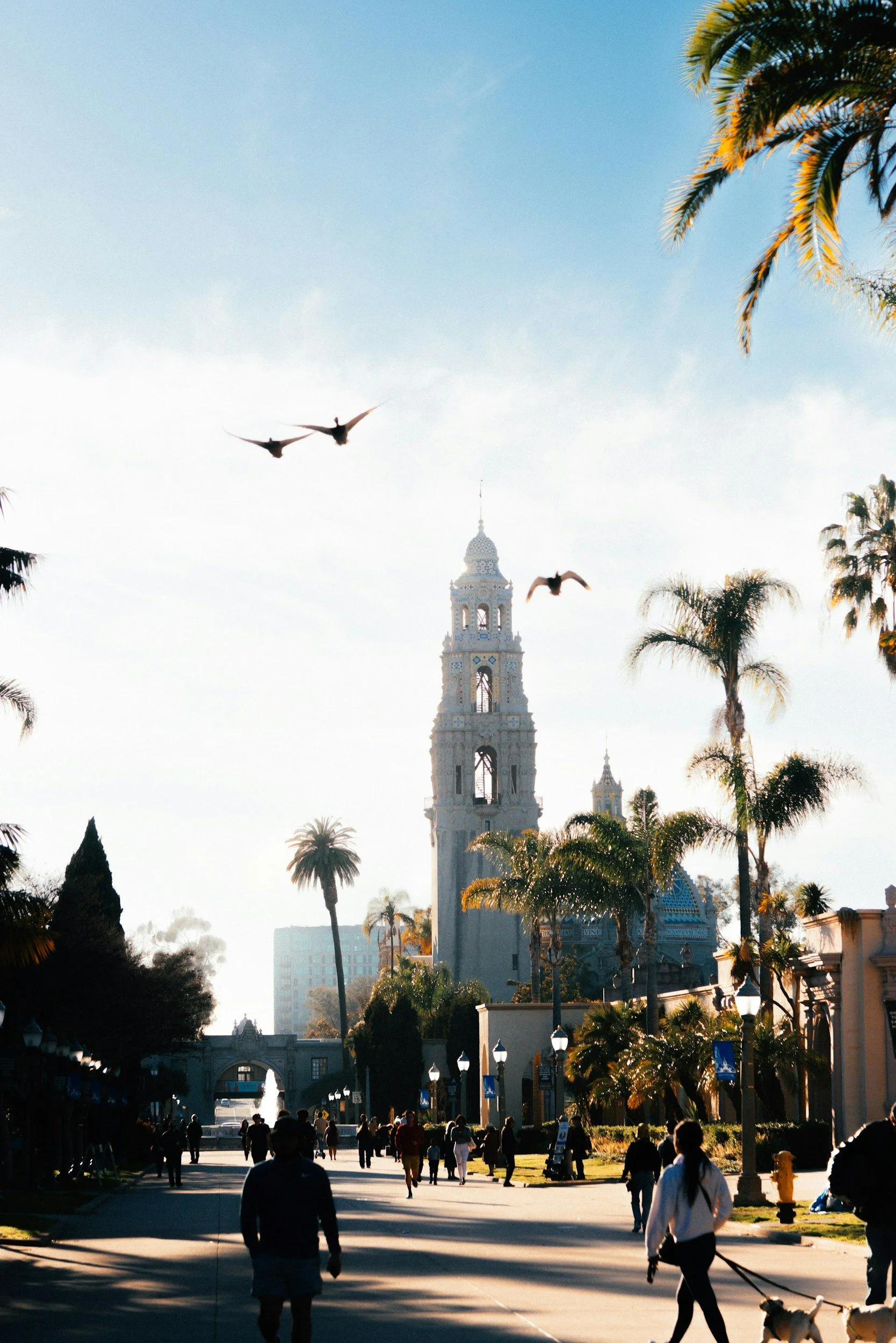 The top of the California Tower in Balboa Park