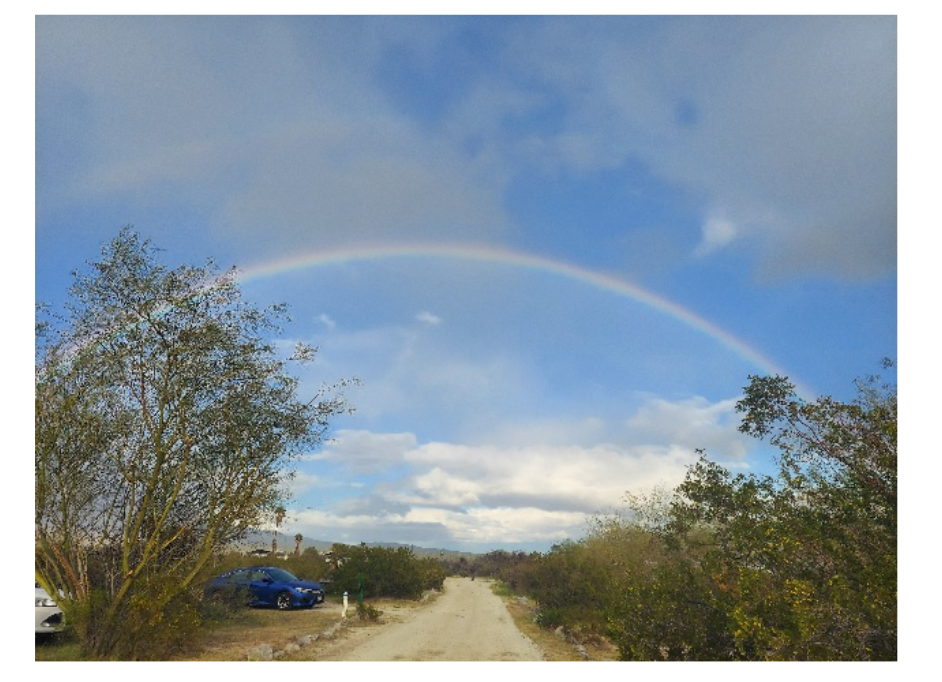 CoDAChella Spring Desert Camping Trip