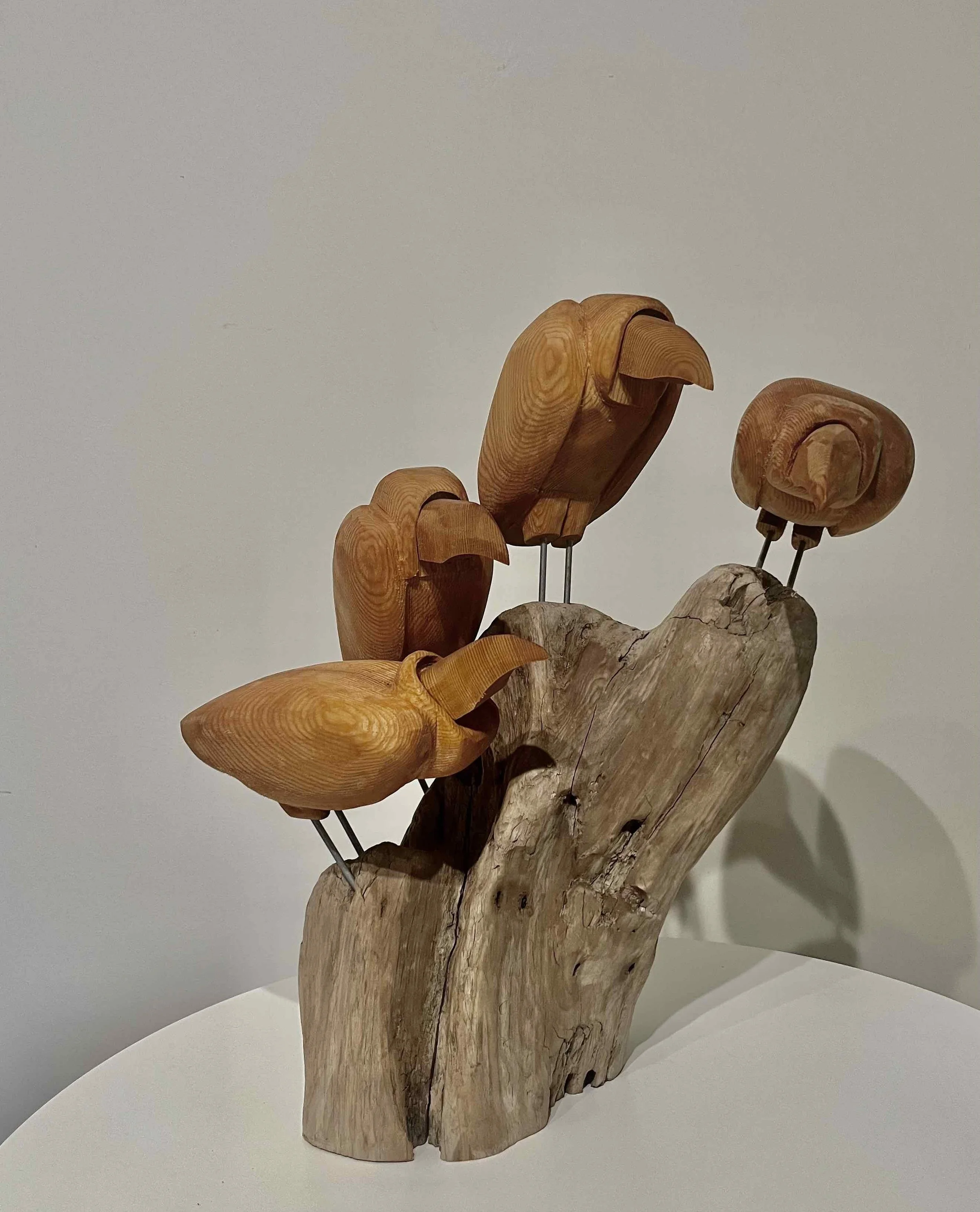 MURDER of 4 DEBATING