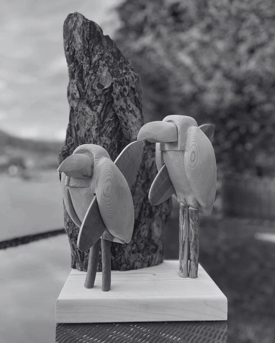 Norb Jakubke is a Gibsons-based woodcarver who draws inspiration from the imaginative corners of the world.

He learned his carving techniques through Indigenous West Coast carving at Klee Wyck and expanded his practice by studying wood carving in Th