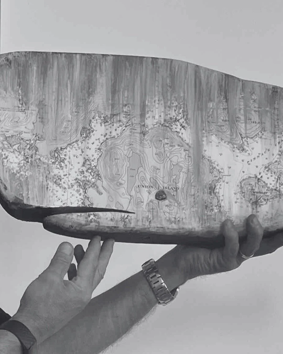 Norb&rsquo;s Aquatic Collection is a poetic reflection on life below the surface, capturing the beauty and fragility of aquatic creatures.

Each piece reveals the quiet grace of fish while hinting at the weight of humanity&rsquo;s careless impact on 