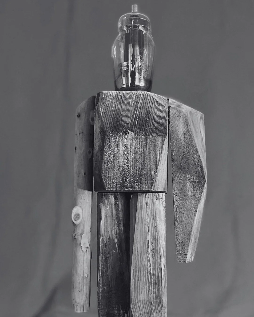 A nostalgic nod to the glowing warmth of vintage radio tubes, the Tube Family collection transforms them into whimsical characters.

The &ldquo;Tube Heads&rdquo; are humorous, soulful beings, each radiating its own quirky personality&mdash;bridging t