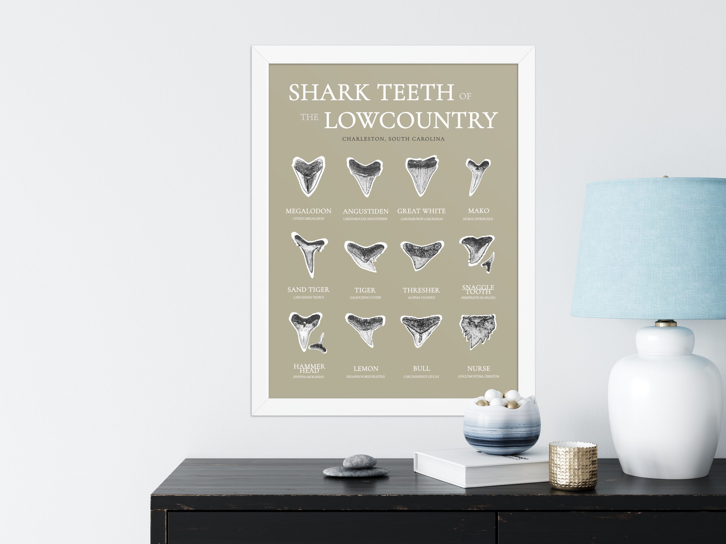 tan identification white.png