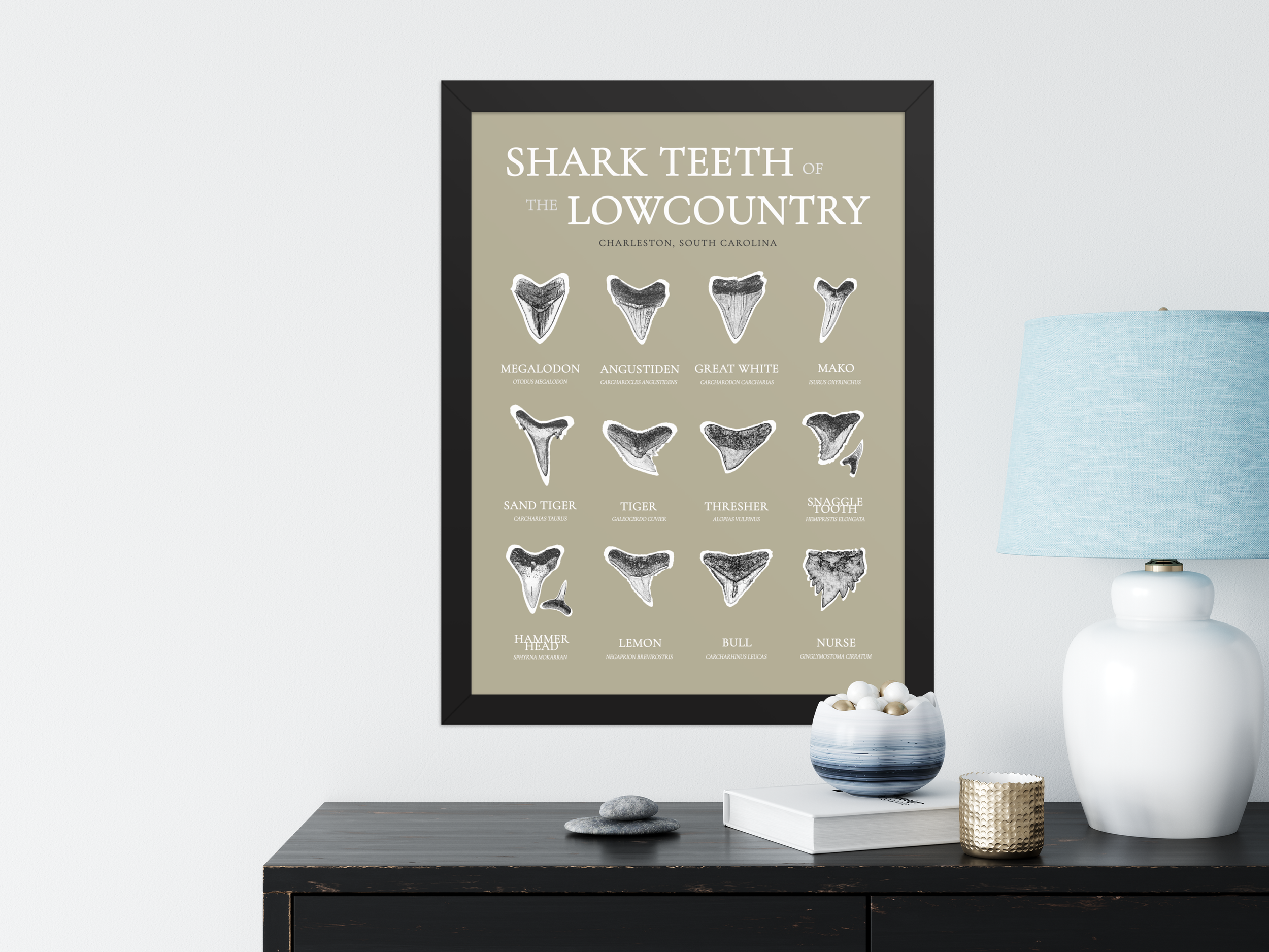 tan identification balck.png